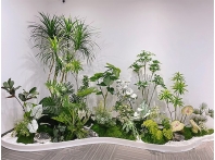 花卉租赁